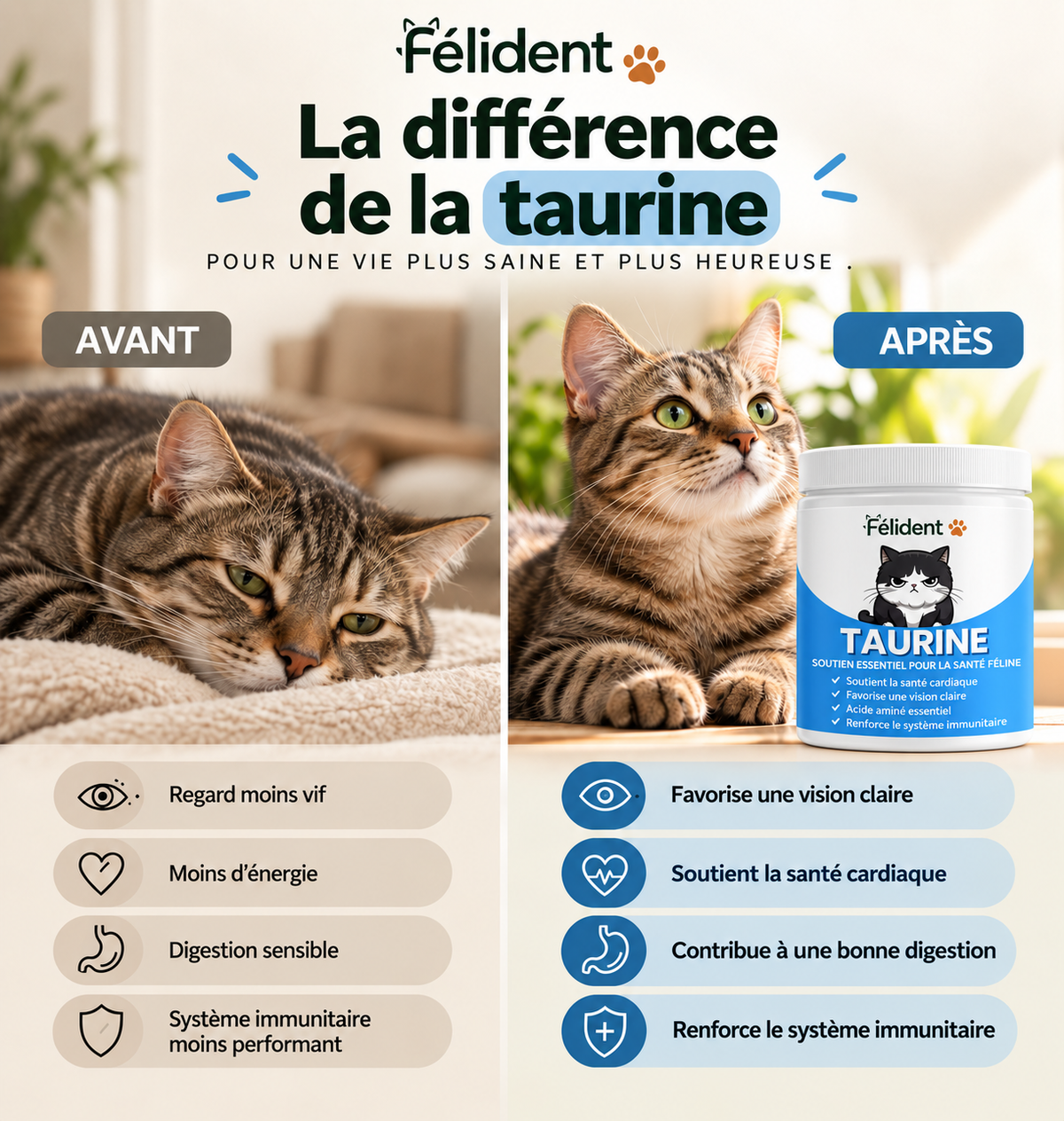 Infographie : la différence de la taurine pour votre chat
