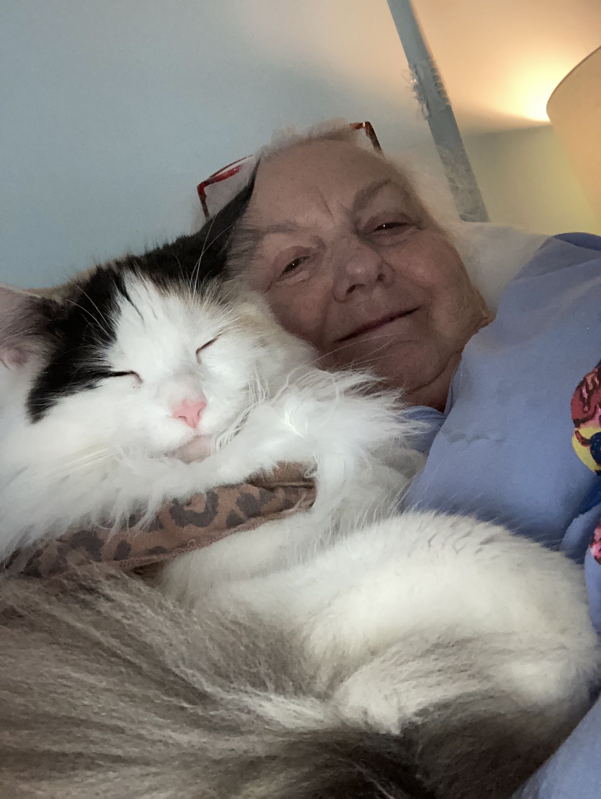 Cliente Félident allongée avec son chat blanc et noir