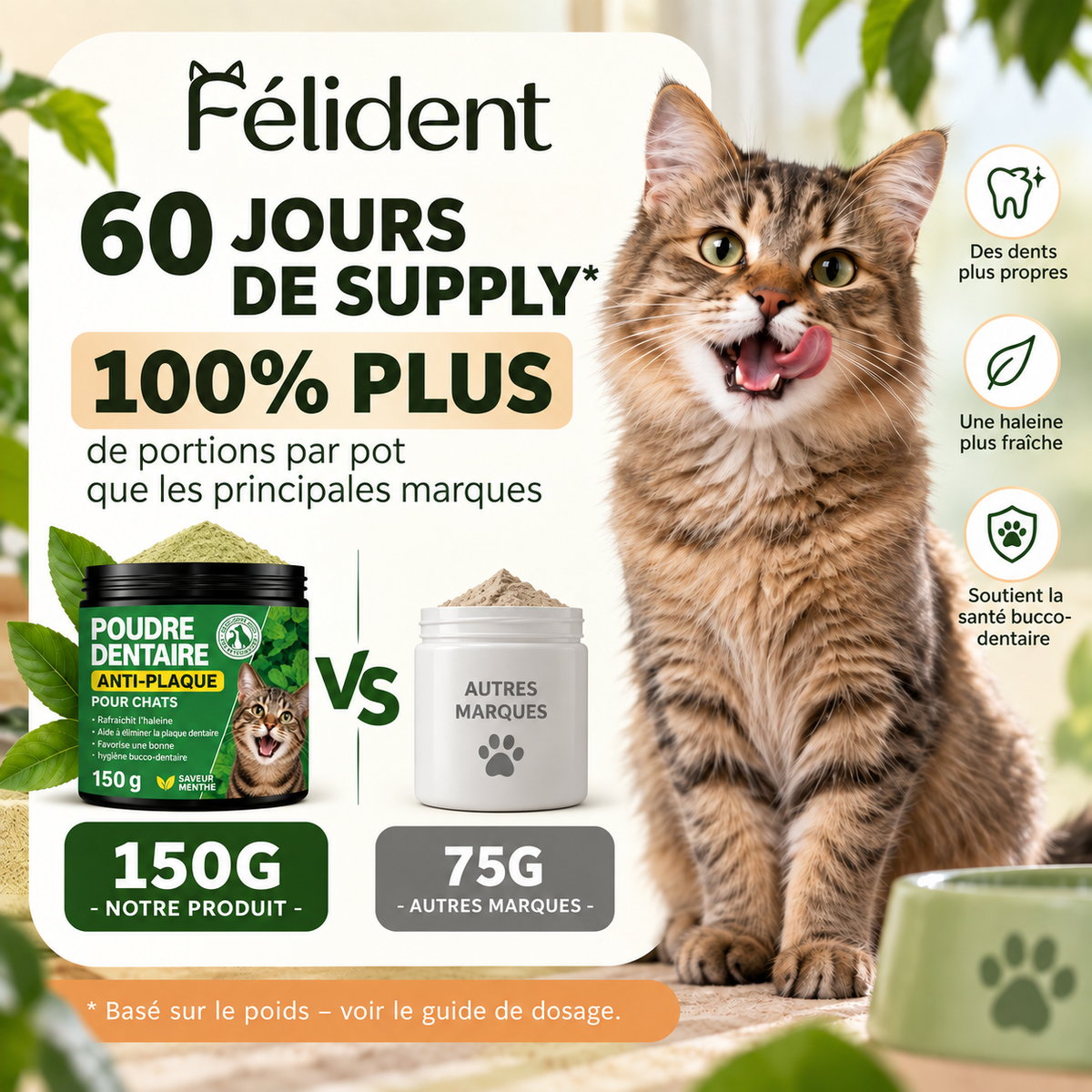 Poudre Dentaire Anti-Plaque pour Chats
