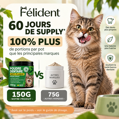 Poudre Dentaire Anti-Plaque pour Chats
