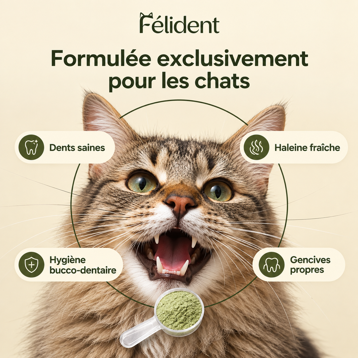 Formulée exclusivement pour les chats